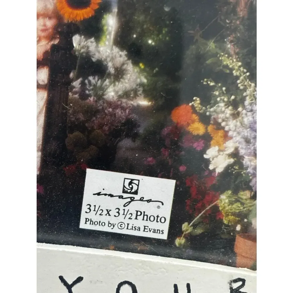 Images by Lisa Evans 